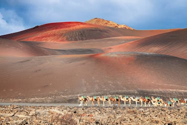 Timanfaya National Park Family Tour with Camel Ride